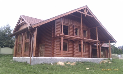 IMAG1291